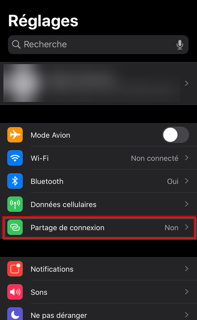 Réglages iPhone : menu Partage de connexion